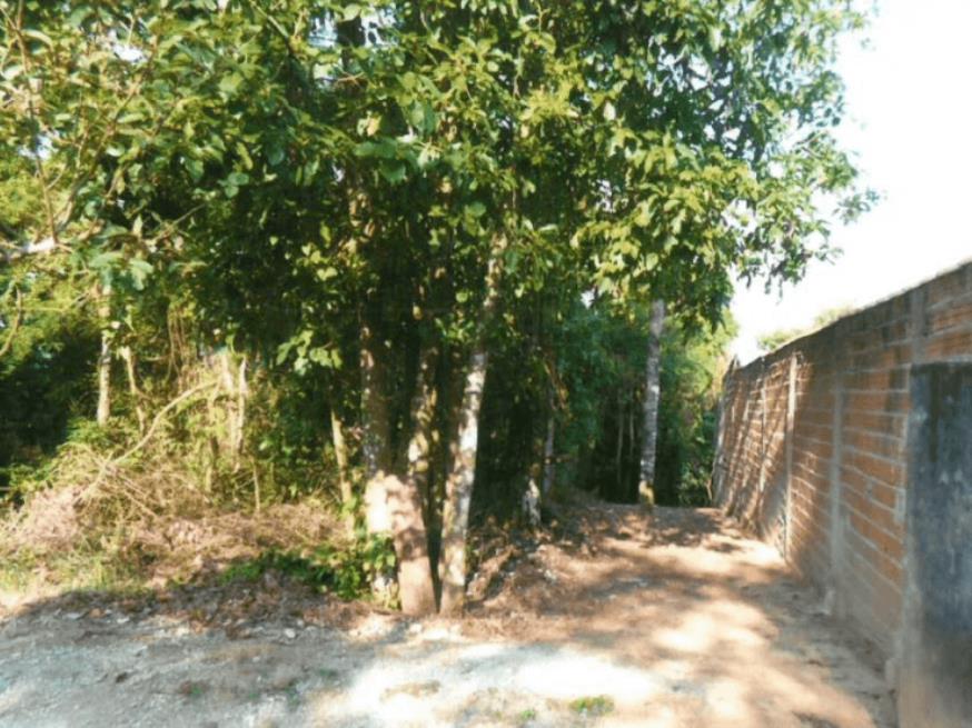 Foto ilustrativa 3 - Direitos do Terreno 669,45m² – Morada do Sol – Santana de Parnaíba