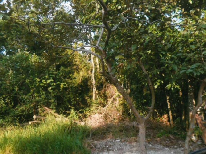 Foto ilustrativa 5 - Direitos do Terreno 669,45m² – Morada do Sol – Santana de Parnaíba