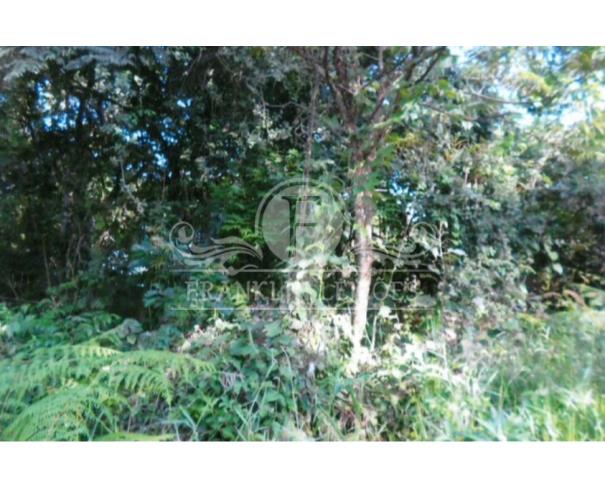 Foto de Direitos do Terreno 669,45m² - Morada do Sol - Santana de Parnaíba