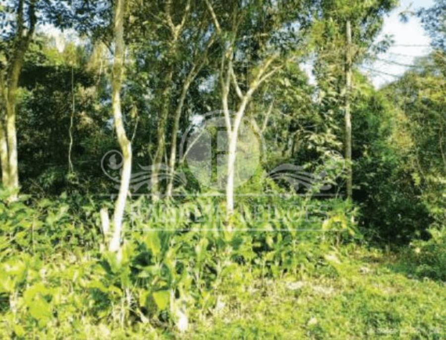 Parte Ideal 50% terreno lote 28 280,00m² - Jd. Coronel - Itanhaém Parte Ideal 50% terreno 280,00m² - Jd. Coronel - Itanhaém, localizado em Itanhaém - SP